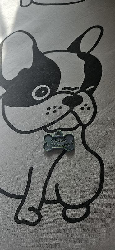 Именные жетоны-адресники для питомцев (форма «косточка») маленькие 150 — 2