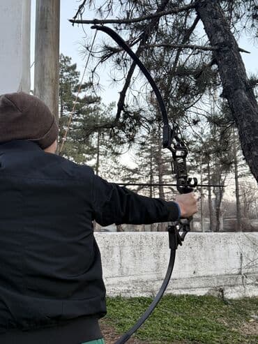 лук со стрелами: Лук рекурсивный разборный с комплектом стрел - Тип — 2