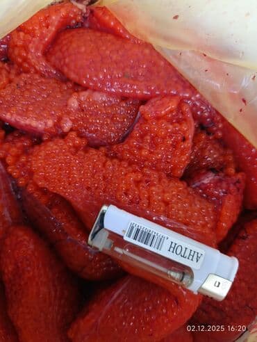 семена клубники оптом: Свежий — 1