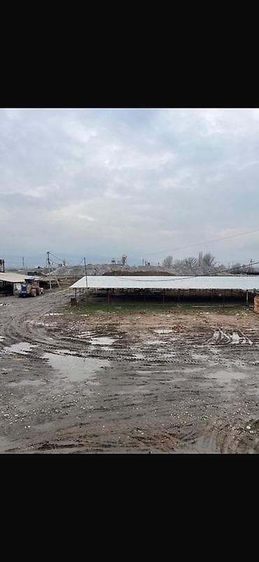 кирпичный завод кант: Завод, С оборудованием, 20000 м² — 10