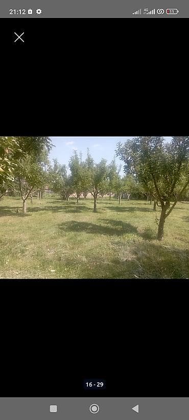 чопон ата: 25 соток, Красная книга — 10