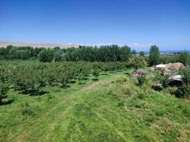 срочно продаю дом кызыл аскер: 27500 соток — 1