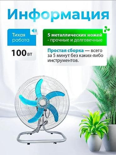 220 5 5: Вентилятор Alf, Напольный, Лопастной — 2