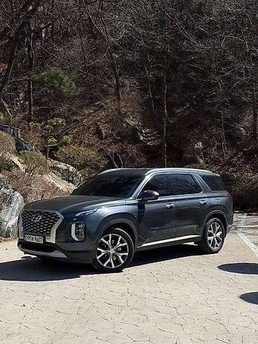 2020: Hyundai Palisade: 2020 г., 2.2 л, Автомат, Дизель, Кроссовер — 3