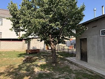 5: 🏡 Продается участок с домом в Арча-Бешике! Рядом с магистралью! — 9