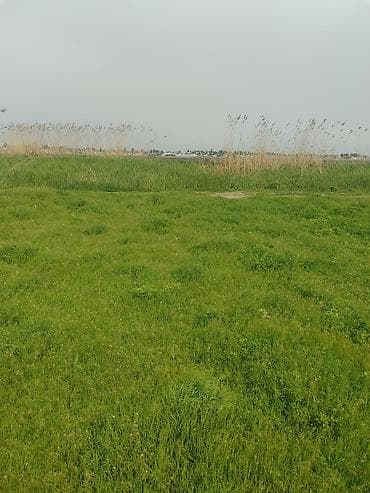 земельный участок продажа: 230 соток, Для сельского хозяйства — 2