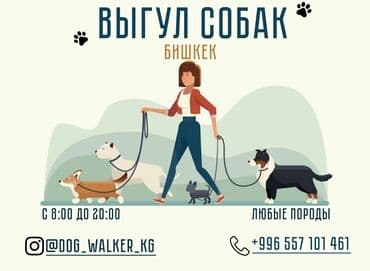 помои для собак: Выгул собак писать в вотсап у вас нет времени обеспечивать активные — 1