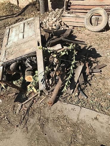 теплые вещи: Дрова — 1