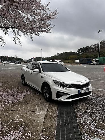 kia ceed: Kia K5: 2019 г., Бензин, Седан — 1