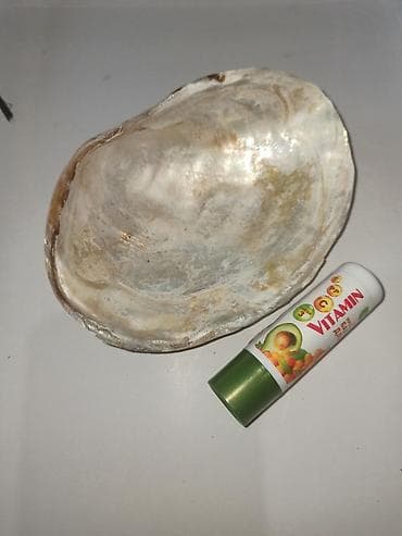 прихожка с зеркалом: Набор природных морских раковин для декора, коллекции, рукоделия и — 2