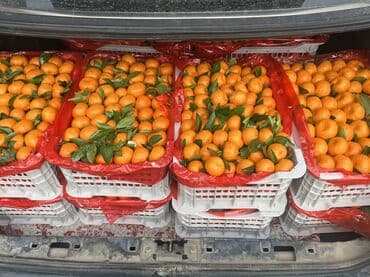 мөмө жемиш: Мандариндер Чекене, Өзү алып кетүү, Акылуу жеткирүү — 5