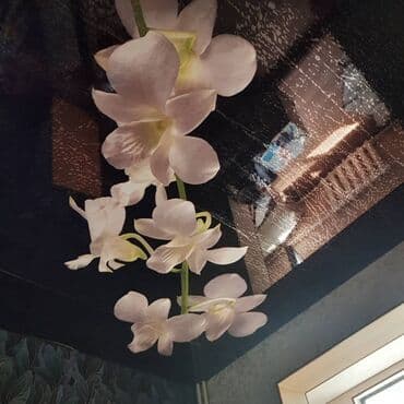 потолок гипсокартон: Натяжной потолок 3D потолки, Глянцевое, Матовое — 3