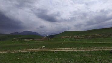 Lixiang: 10 соток — 1