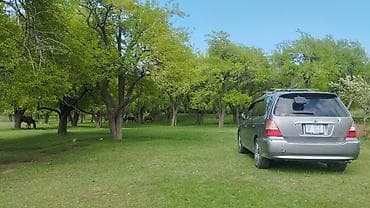 man 8: Honda Odyssey: 2001 г., 3 л, Автомат, Бензин, Минивэн — 7