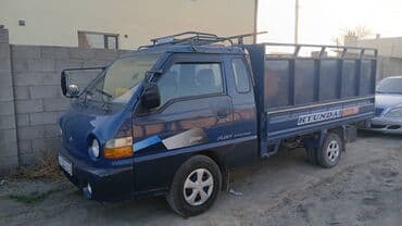 комнатные растения в бишкеке купить цена оптом и в розницу: Жук ташуу — 1