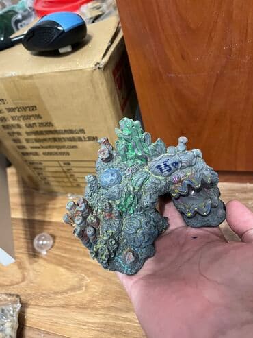 дом для птиц: В продаже 1 ракушки общий 200 сом Исскуственые растение по 35 Сомов — 3