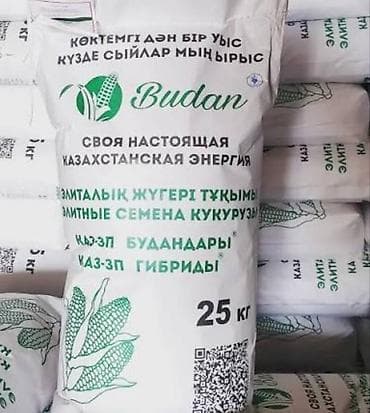 канадский ячмень: Будан оргинал семена кукурузы есть все сорта зпск 704/777 скиф-619 — 1