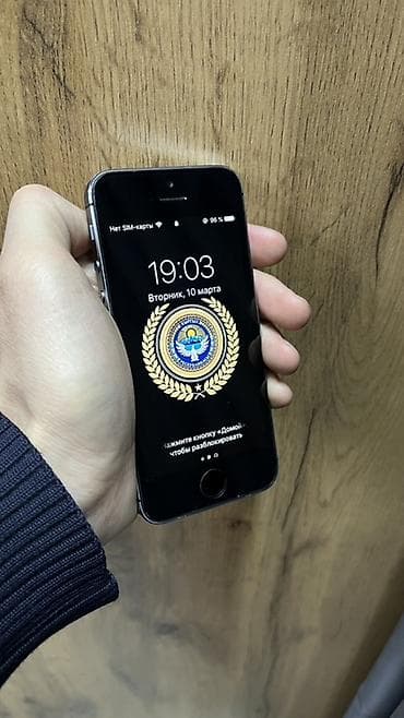 Apple iPhone: IPhone 5s, Б/у, Space Gray, 96 % — 3