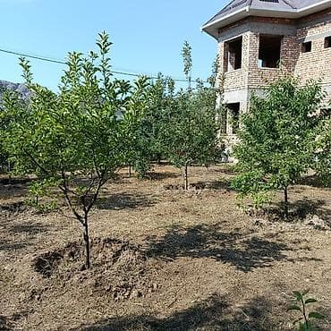 купить дом недорого: Продаю 2х этажный дом. Участок 6сот. Водопровод, канализация, свет — 4