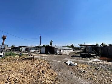 66: 63 соток, Договор купли-продажи — 5