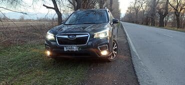 subaru forester сф: Subaru Forester: 2019 г., 2.5 л, Вариатор, Бензин, Кроссовер — 1