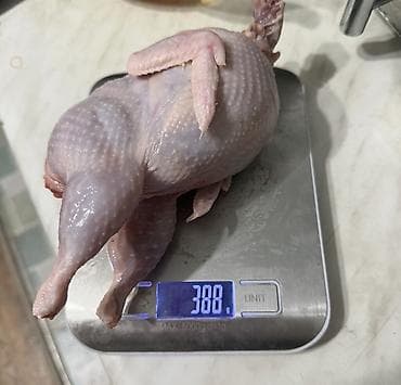 Мёд: Находимся в Бишкеке ! Мясо и яйца Перепелок Вес тушки от 200 гр и — 6