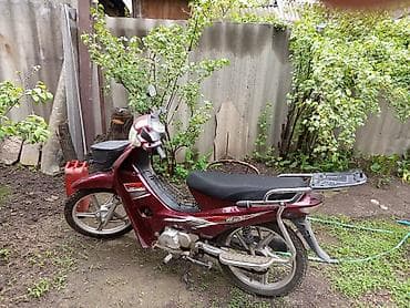 camry 2006: Скутер-мопед (тип «кап») бордового цвета. Особенности и оснащение: - — 3