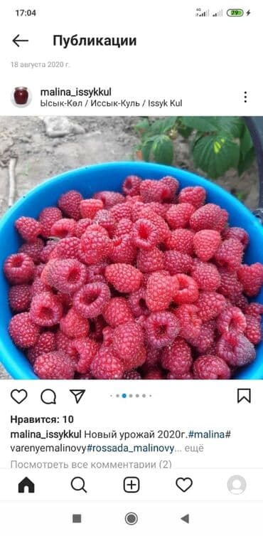 печь для отопления дома бишкек: Малинанын кочоттору сатылат!!! Сорт: Полька(ремонтантная). Кочоттор — 8