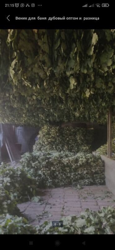 домашнее кресло: Дубовый веник для баня — 3