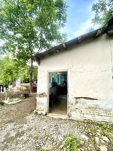 бакай ата ж м: 8 соток, Кызыл китеп — 6