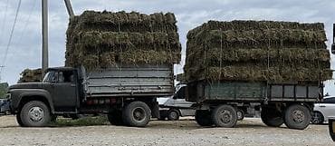 камаз грунта цена: Грузовик, ЗИЛ, Стандарт, 7 т, Новый — 10