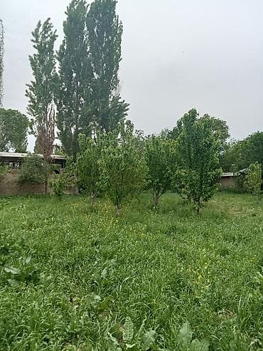 сдается земельный дом: 12 соток, Для сельского хозяйства, Красная книга — 3