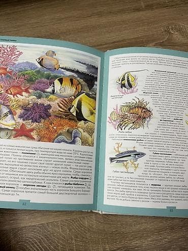 Книги и журналы: Детские книги, атлас животных 
Отдам две книги за 300 — 4
