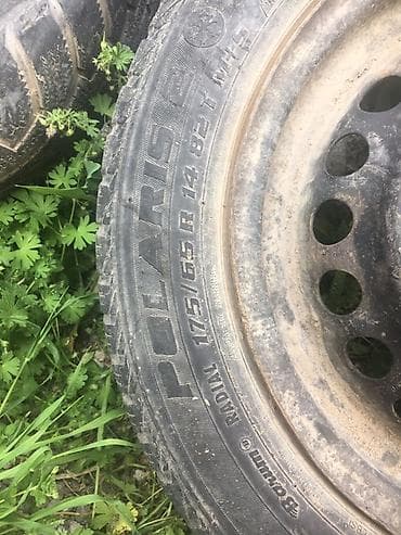Шины 195 / 65 / R 15, Зимняя шипованная, Пара, Легковые, Nokian