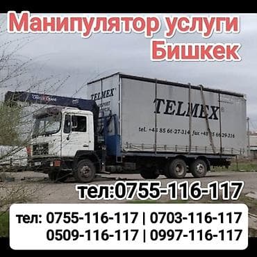 карго в узбекистан: Манипулятор, XCMG — 1
