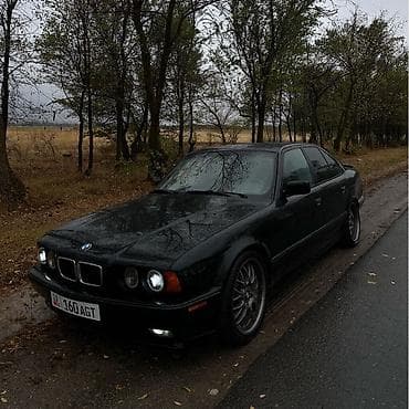 BMW 525: 1992 г., 2.5 л, Механика, Бензин, Седан — 10