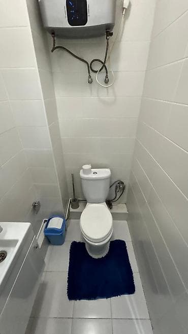 central park: 2 комнаты, 60 м², Индивидуалка, 9 этаж, Евроремонт — 9