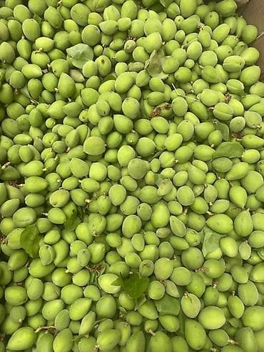 картофель актрис: Абрикосы — 3