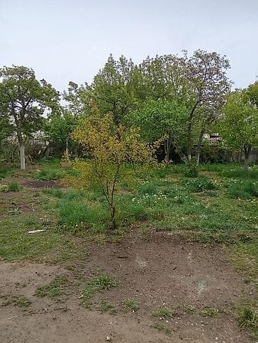 Дома: Продается дом вчолпонате с Бактуу долонту.Дом 4х комнатныйсанузел — 7