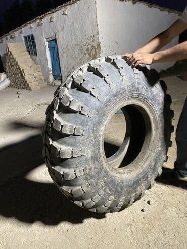 шины бишкек дордой цены: Шиналар — 3