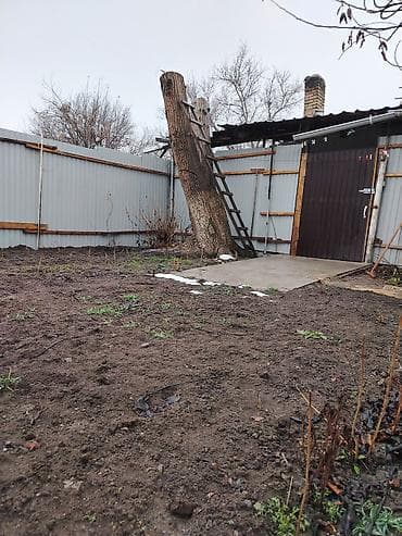 Обмен дерево ореха. Район старого автовокзала