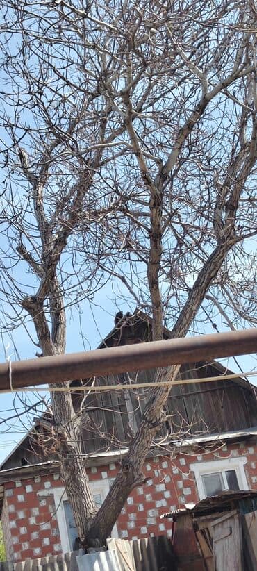 строительный фен бу: Отун сатылат строй материалы жоон кругляк отундар бар тубундо карагай — 7