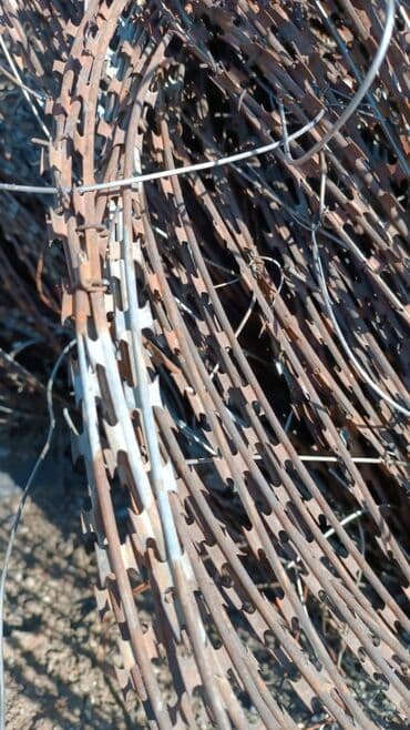 скупка салафанов: Куплю черный металл — 1