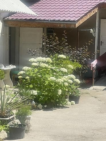 flower: Садовый дом с участком и благоустроенным двором - Зеленый участок с — 4
