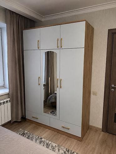 хранение: Шифоньер, шкаф для одежды, Новый, Прямой, ЛДСП — 5