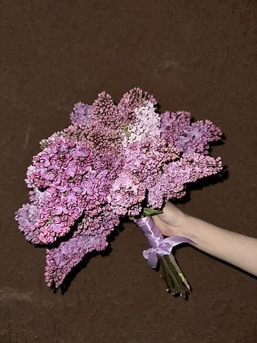 цветочная: Букеты из душистой сирени Ветка 60 сом пишите по номеру: - Состав — 2