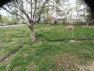 село саз: 8 соток Для бизнеса — 4