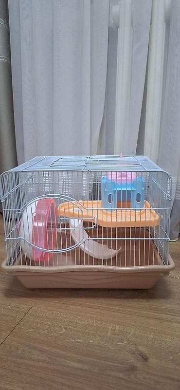 Кемирүүчүлөр: Клетка для хомяка/крысы б/у 36x27 — 5