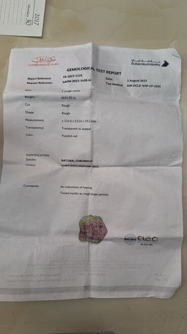 обучение трейдингу: Хотите работать с разными странами через Дубай и зарабатывать на — 67