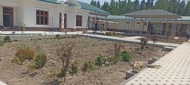 чистка аквариума цена: Газон и Автополив жасайбыз баасы келишим турдо болот! — 5